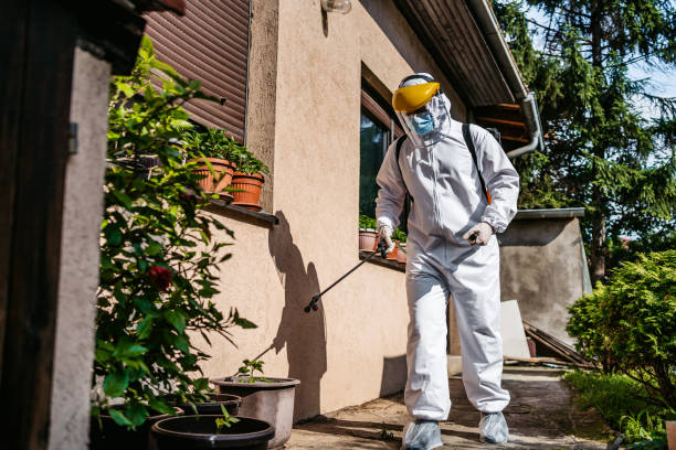 Best Affordable Pest Control Services  in Leitchfield, KY