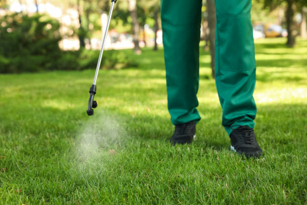 Best Commercial Pest Control Services  in Leitchfield, KY