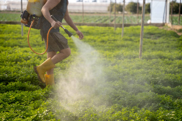 Best Pest Control Near Me in Leitchfield, KY